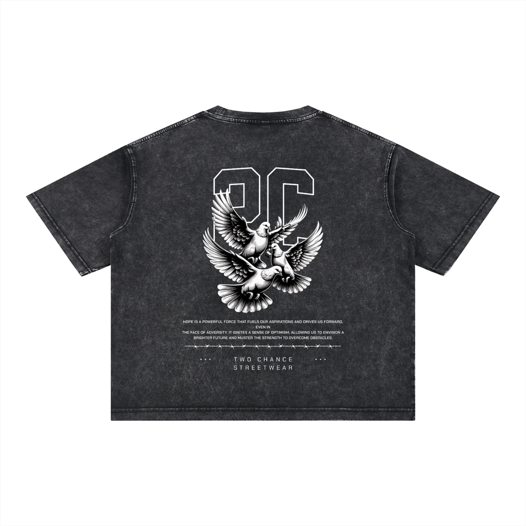 Mineral Wash Boxy Cotton T-Shirt “2C”
