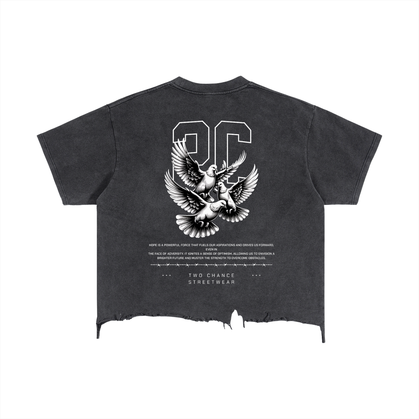 Vintage Wash Boxy Distressed Hem T-Shirt “2B1S”