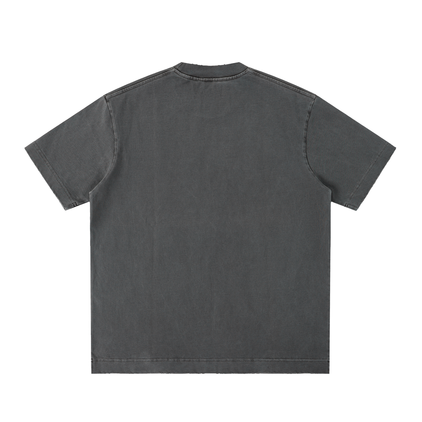 Vintage Washed T-Shirt “TTM”